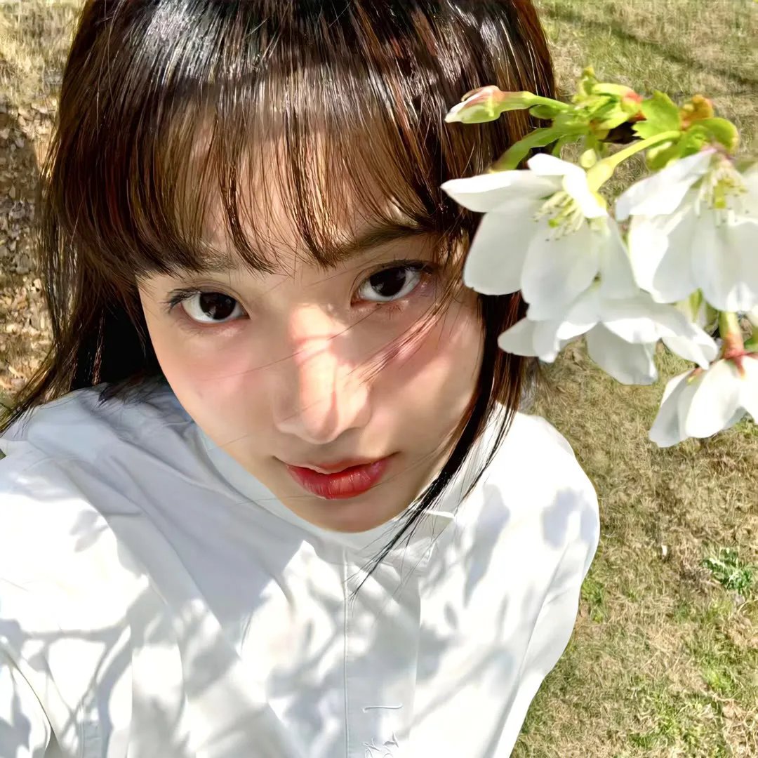 莫奈的光影岁月